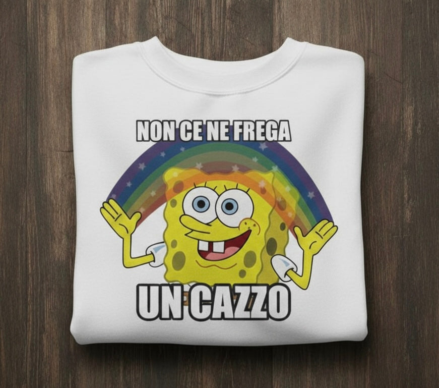 Felpa non ce ne frega