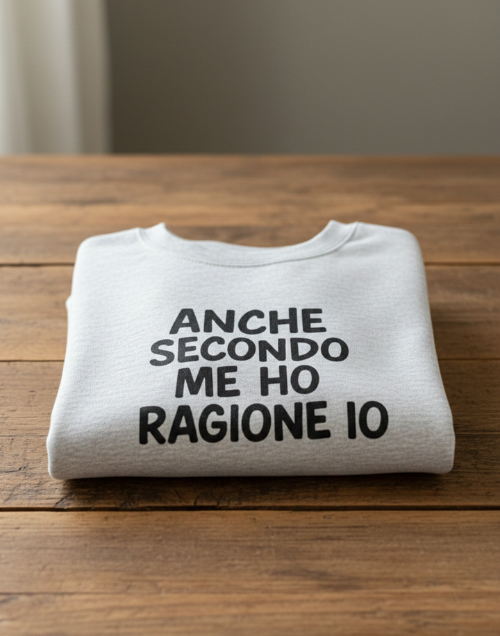 Felpa anche secondo me ho ragione io
